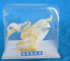 鴿骨骼標(biāo)本