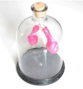 膈肌運動模擬器